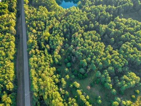 Land and Lots, Eldridge, AL