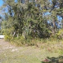 Land, OCKLAWAHA, FL