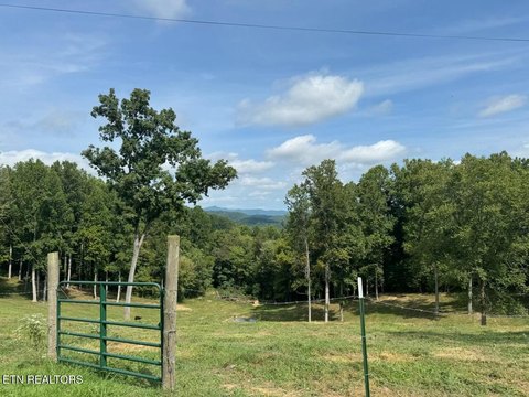 Lots & Acreage, New Tazewell, TN