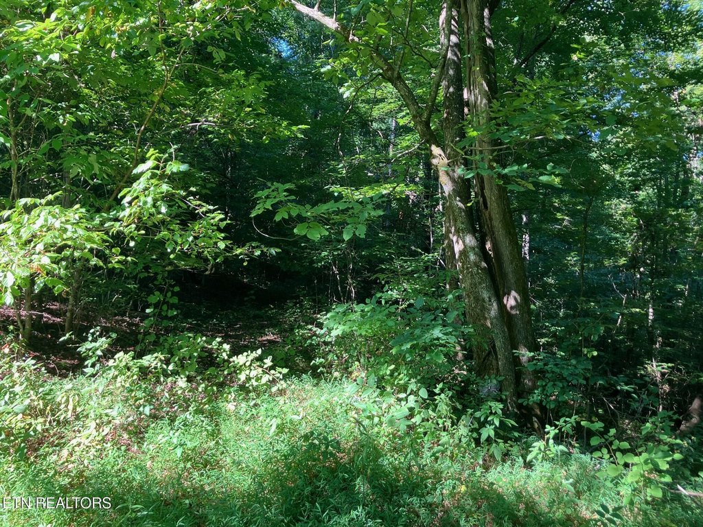 Picture 26