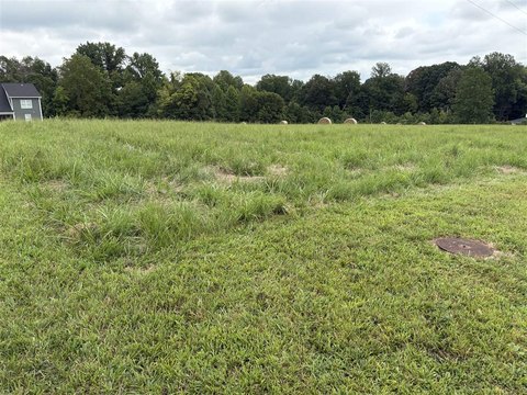 Flat Lot Near Barren River