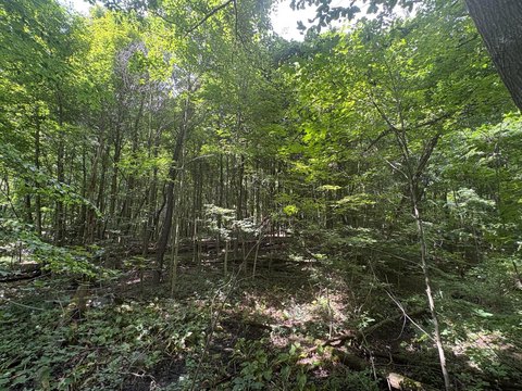 LAND - Marengo, OH