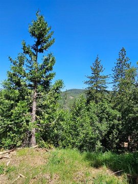 Murphys Acreage in Wylderidge Subdivision