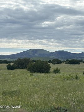 Land, Vernon, AZ