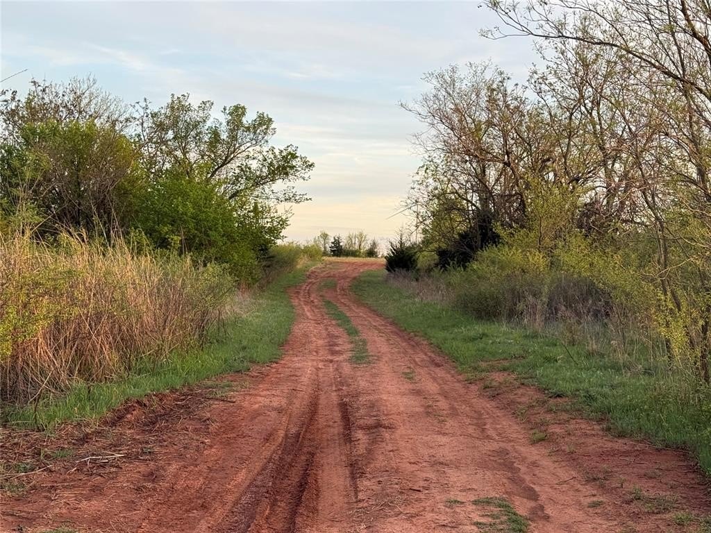 Picture 39