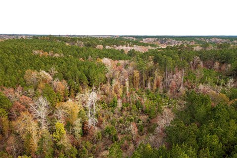Recreational Land with Homesite Potential