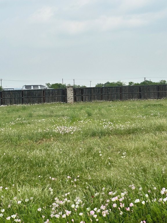 Picture 3