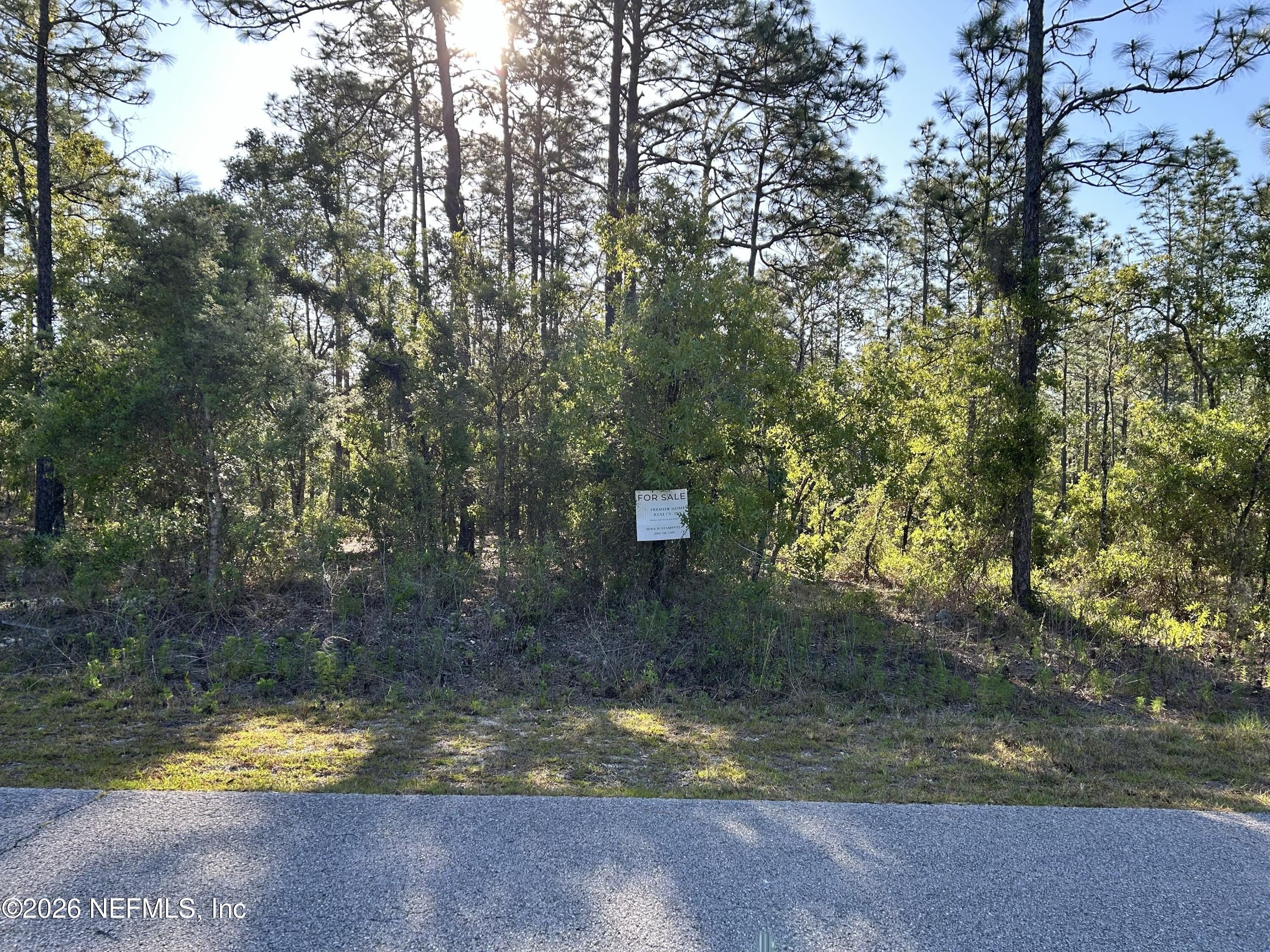 Residential Lot in Dunnellon, FL