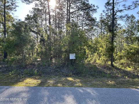 Residential Lot in Dunnellon, FL