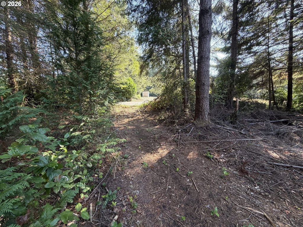 Picture 38