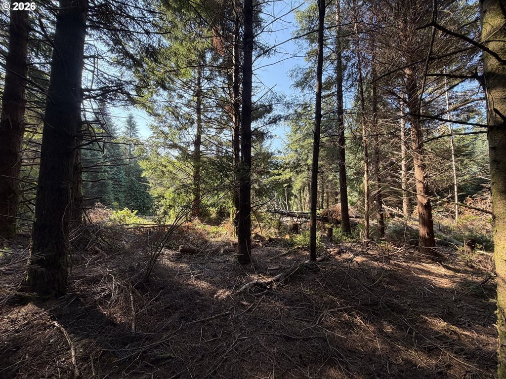 Picture 18