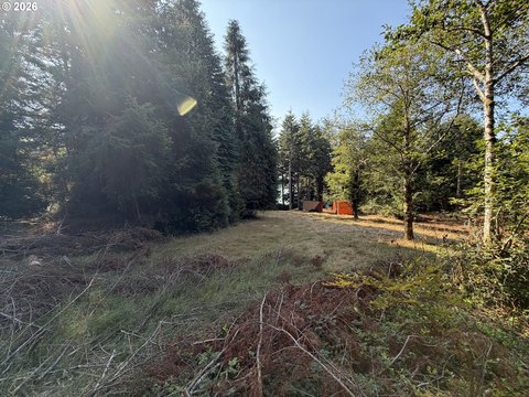 Land, Florence, OR