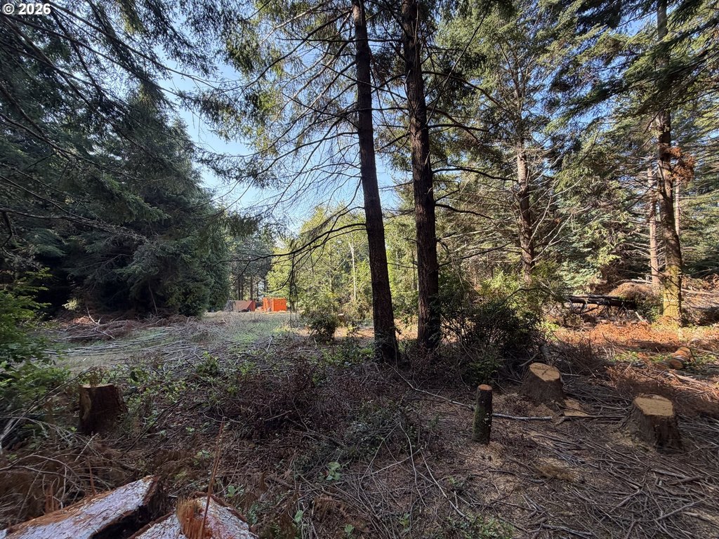 Picture 16