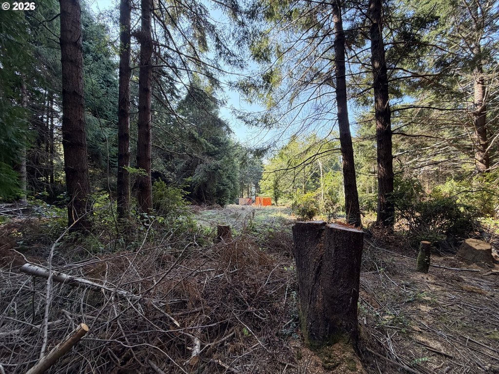 Picture 36