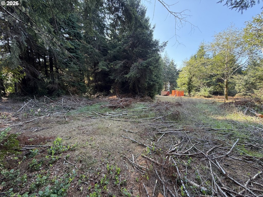 Picture 19