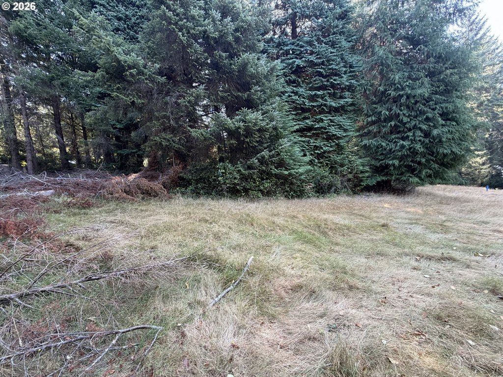 Picture 23