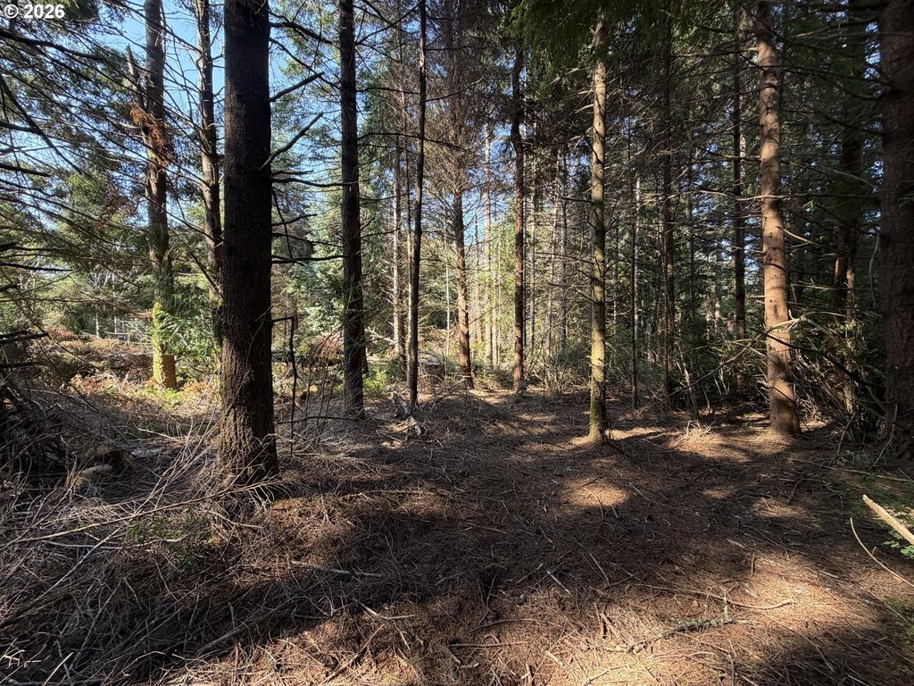 Picture 17