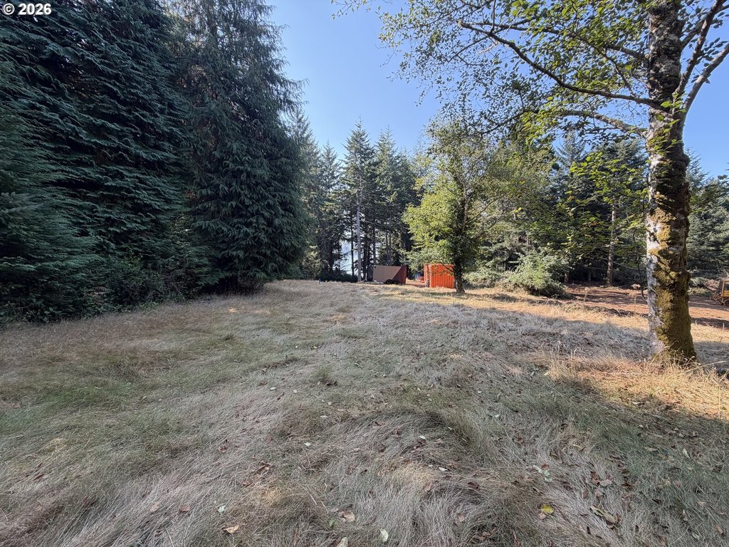 Picture 24