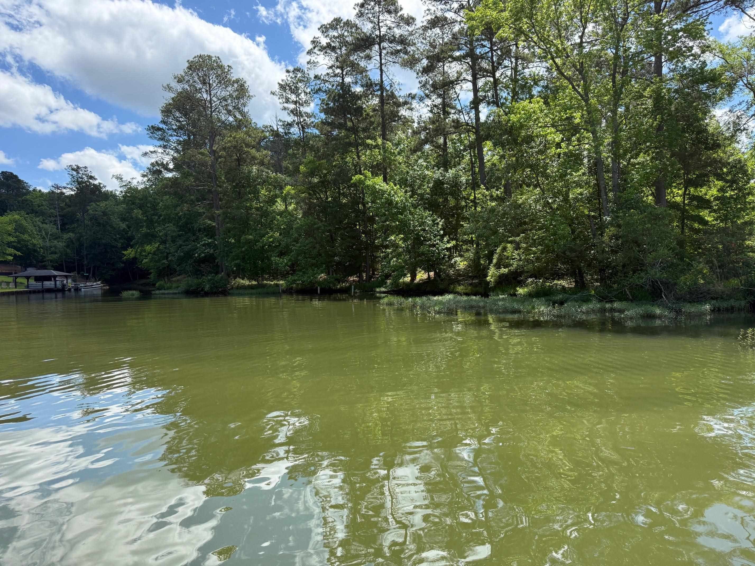 Lake Sinclair Unimproved Waterfront Lot