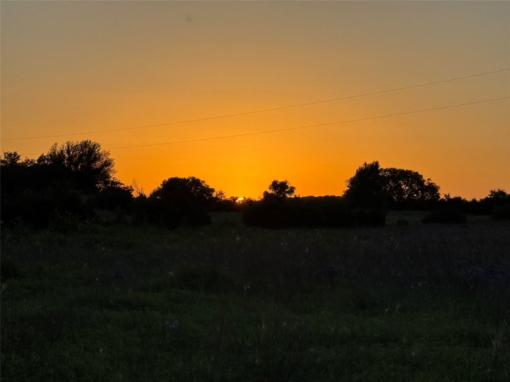 Picture 20