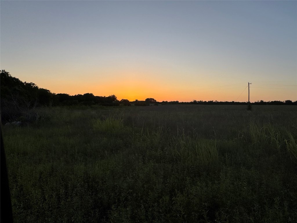 Picture 23