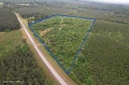29 Acres Hunting Land