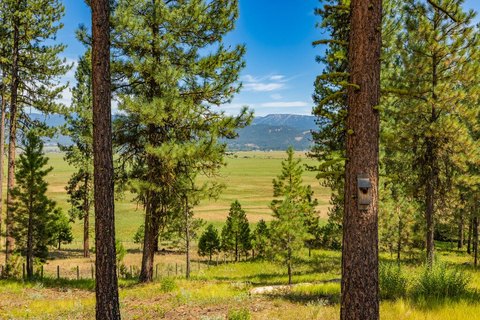 Land, McCall, ID