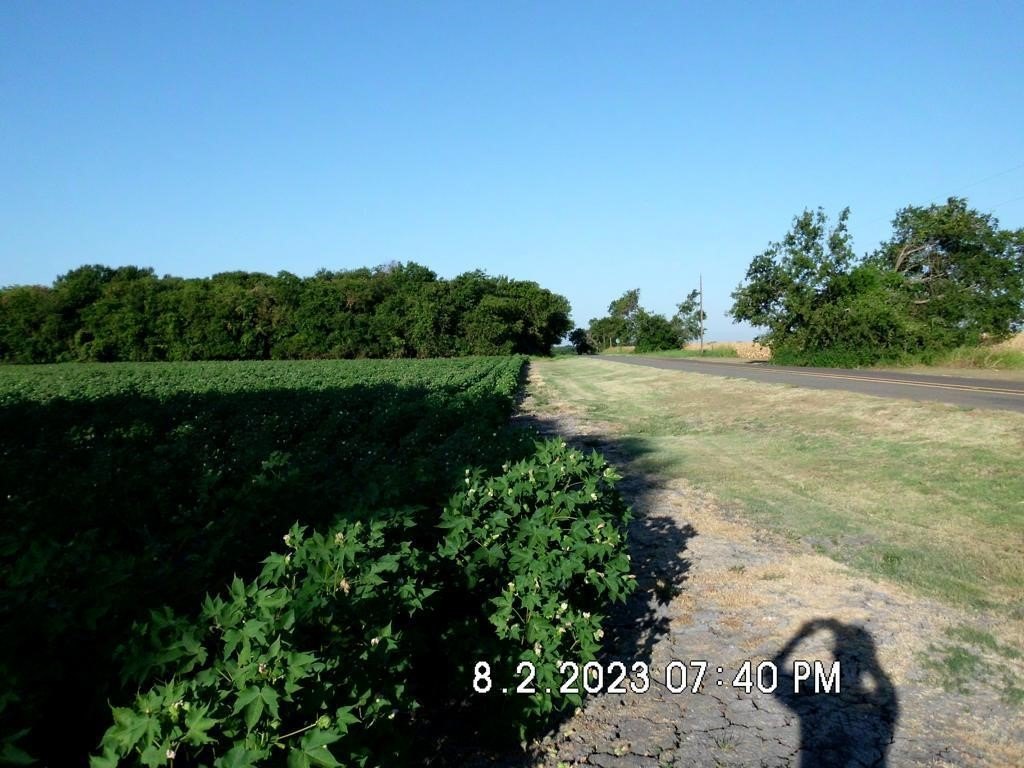 Picture 3