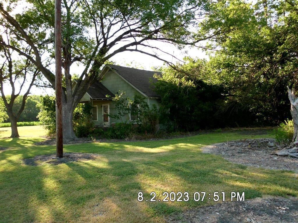 Picture 12