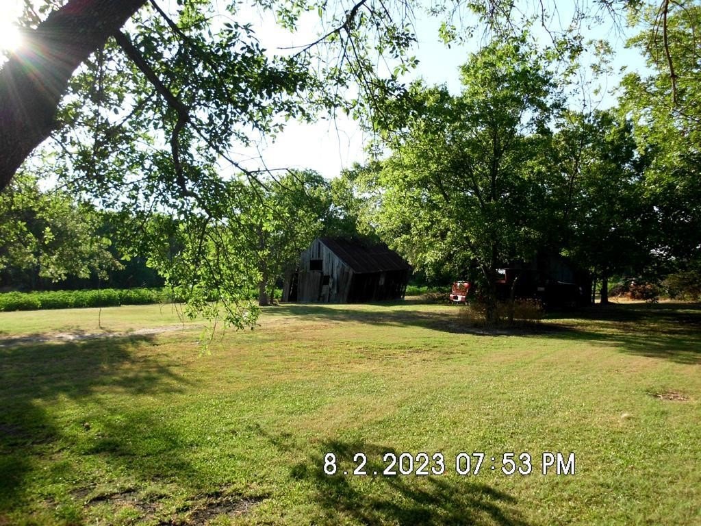 Picture 11