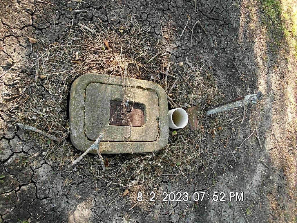 Picture 13