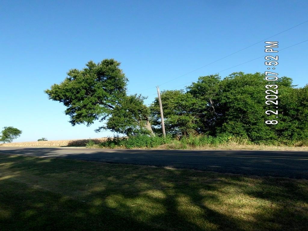 Picture 7