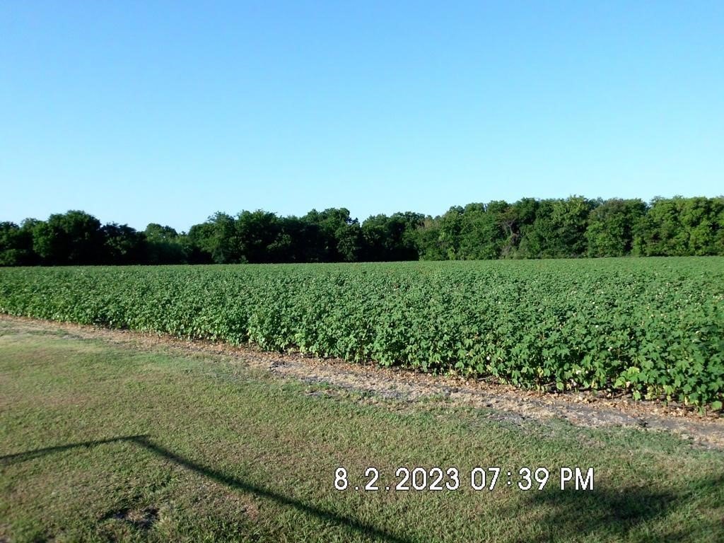 Picture 2