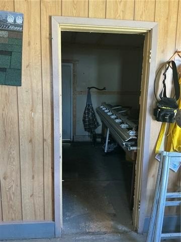 Picture 17