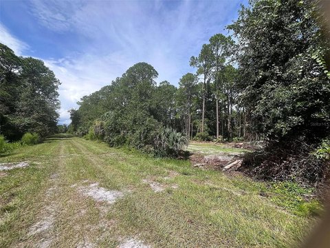 Land, GEORGETOWN, FL