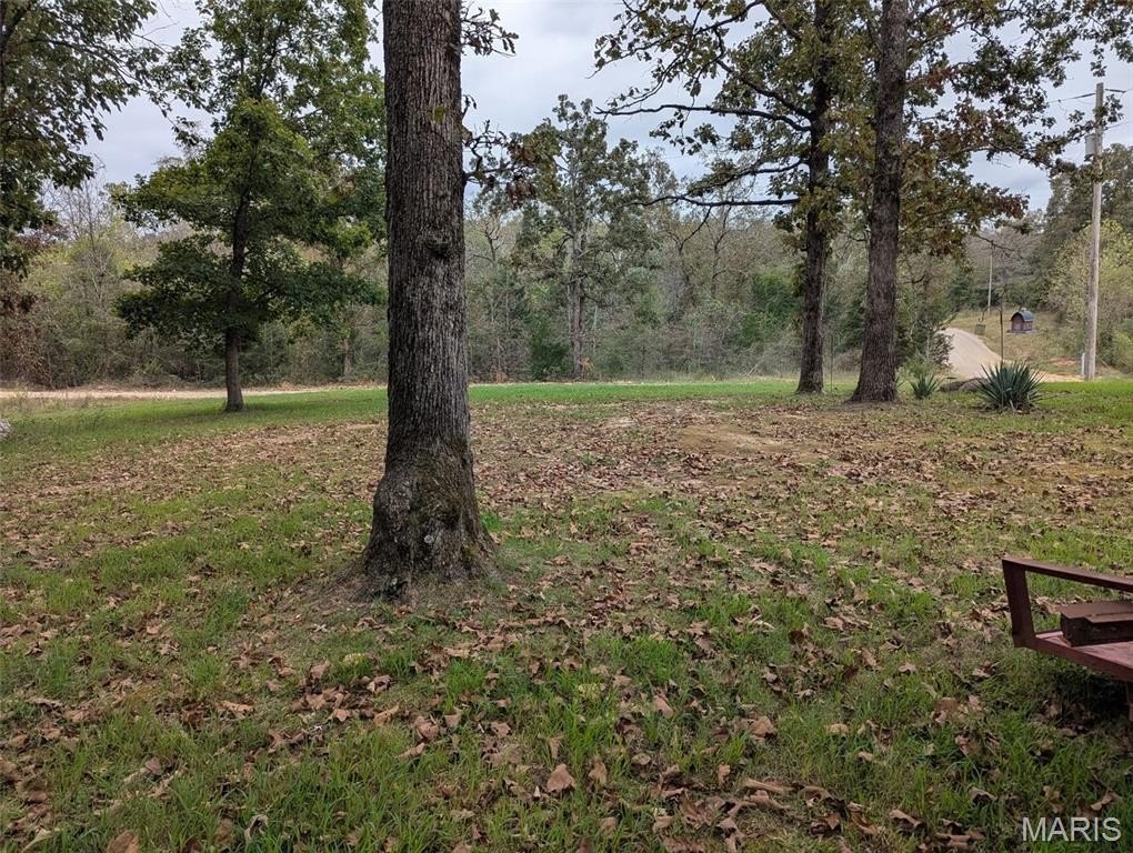 Picture 3