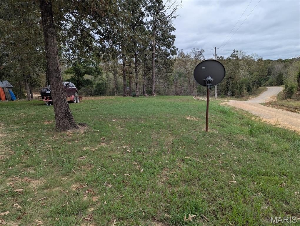 Picture 2