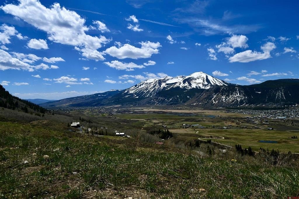 Picture 29
