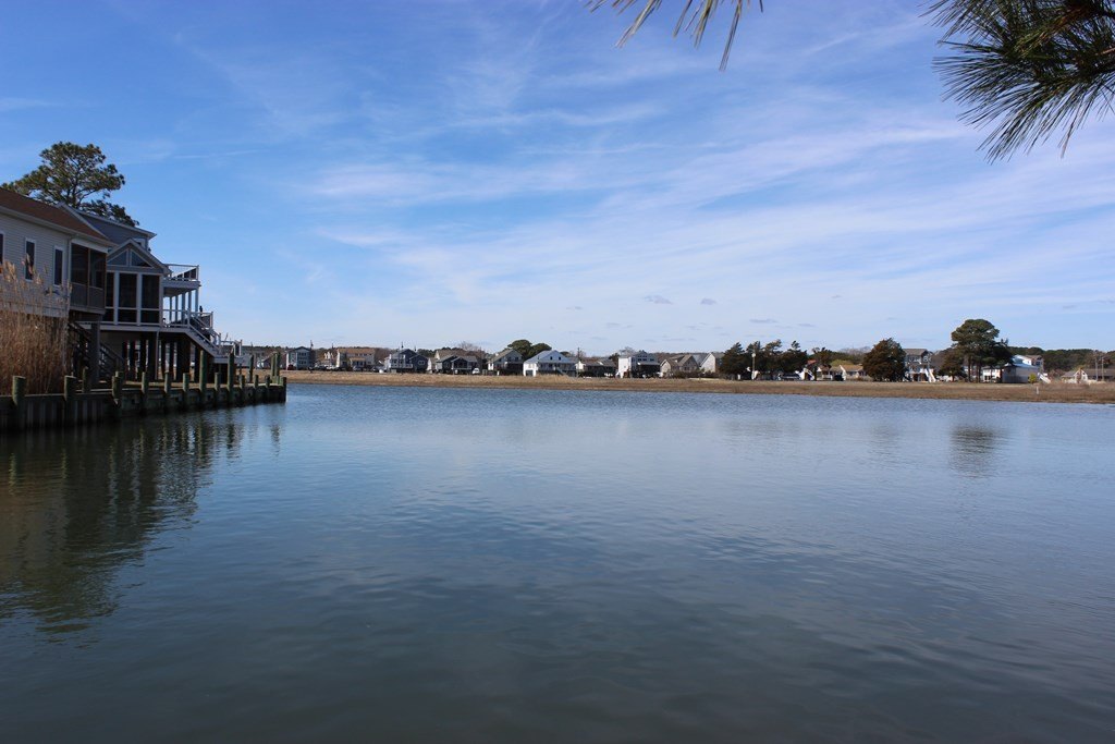 Picture 7