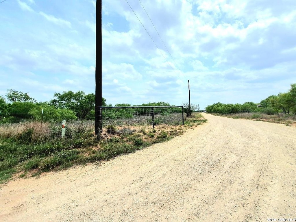 Picture 5