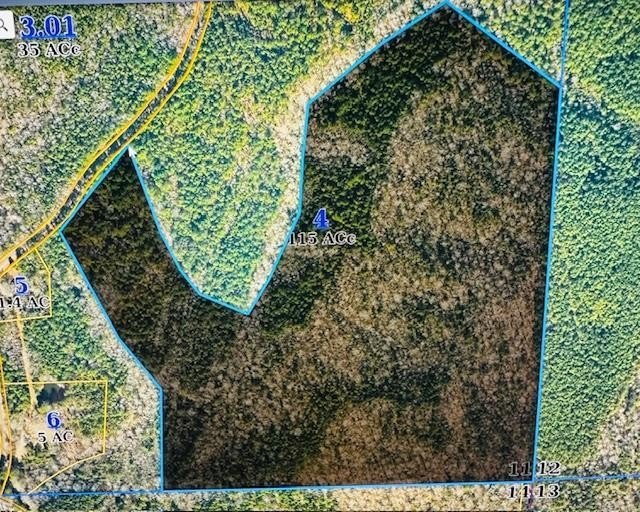 70 Acres Near National Forest