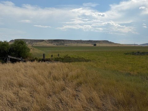 Land, Great Falls, MT