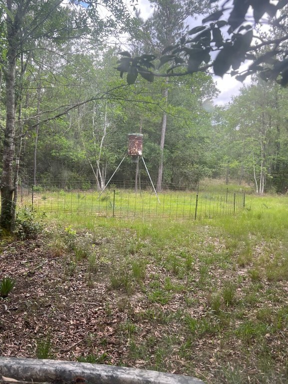 Picture 21
