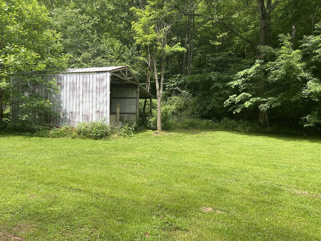 Picture 4