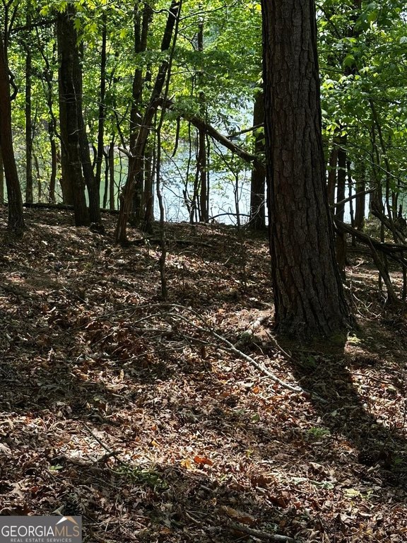 Picture 18
