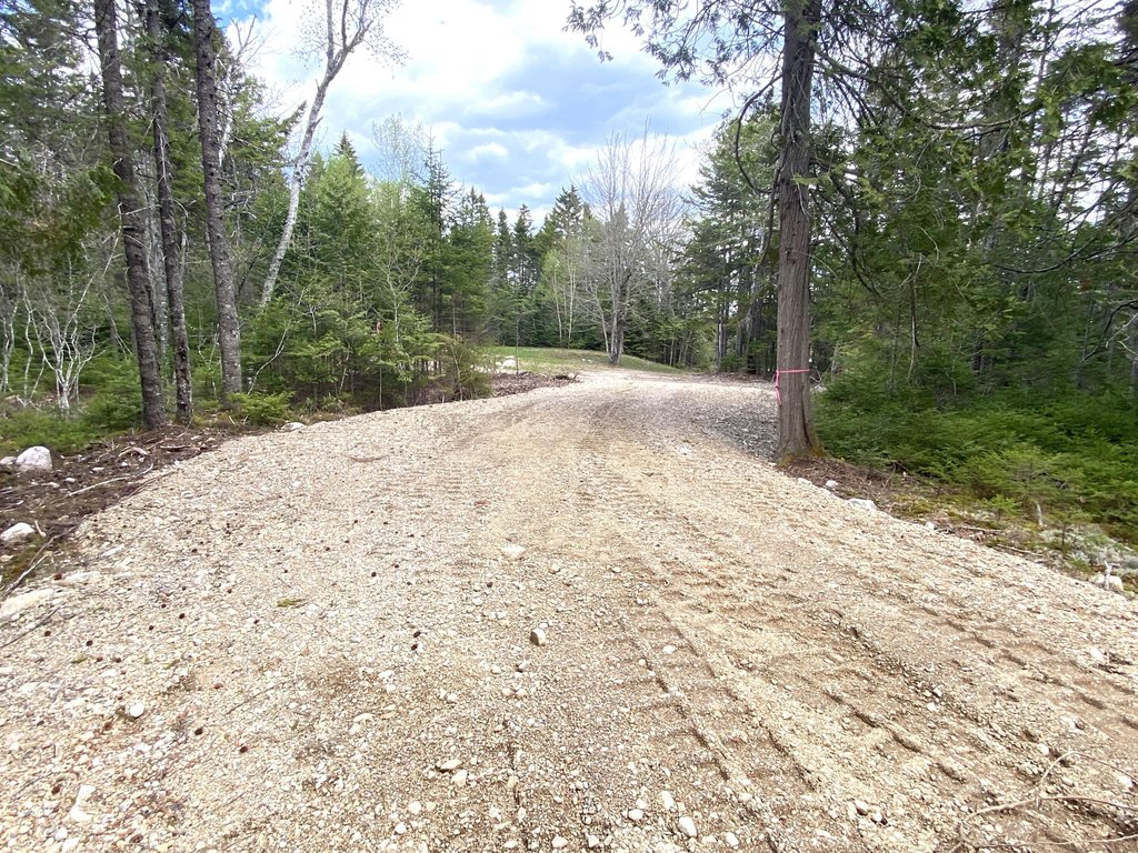 Picture 8