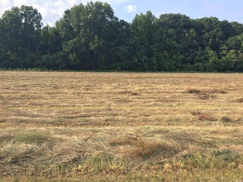 Residential Land Near Mound Lake