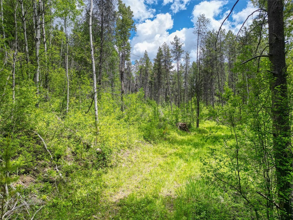 Picture 41