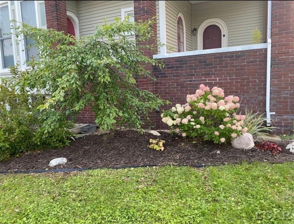 Picture 20