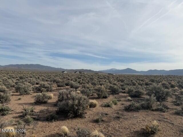 Picture 11